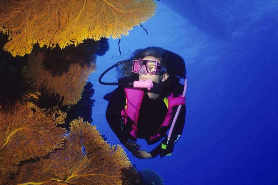 Seguro_de_Buceo_Basic_Diving.jpg